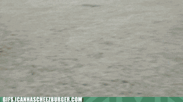 Head Song GIF