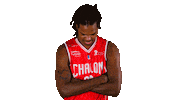 Basketball Basket Sticker by lnb_officiel