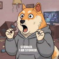 Shiba Inu Wow GIF by Doge Pound
