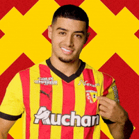 Ligue 1 Yes GIF by rclens