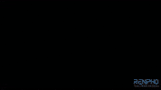 Germany Fitness GIF by RENPHO