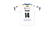 The Wire Sticker by Warrington Wolves