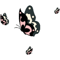 janellesboutique butterflies janelle janellesboutique Sticker