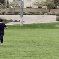Wiffle Ball Fielding GIF