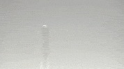 condom wrapper GIF