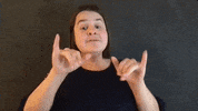 Asl Stay Safe GIF