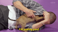 I'm Taking You!