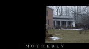 Movie Film GIF by Raven Banner Entertainment