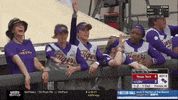 tigers softball GIF by NCAA Championships