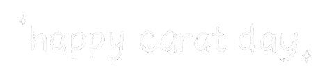 세븐틴 Carat Sticker