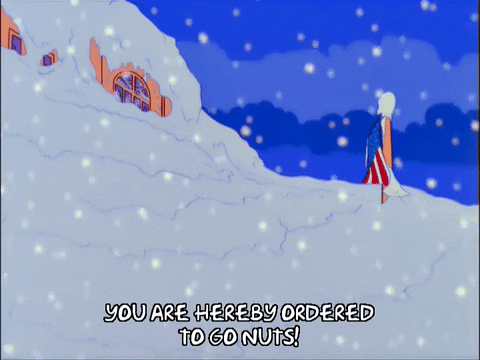 Episode 8 Snow GIF by The Simpsons