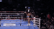 toprank 2 4 5 10 GIF