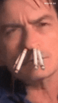 Trending Vibe GIF by Darwin