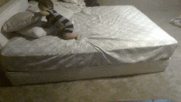 bed pillow GIF