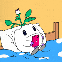 Face Phone GIF by Magic Eden