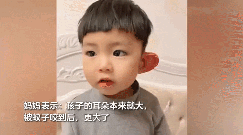 ehdgus1211 giphyupload GIF