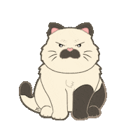 Angry Kitty Sticker