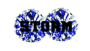 Cheer Storm Sticker by ProMO Image