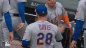 Excited Pete Alonso GIF by New York Mets