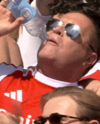 Arsenal Gunners GIF