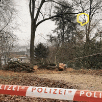 Police Omg GIF by Linz News
