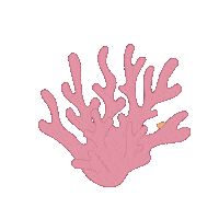 Mar Marine Life Sticker
