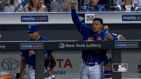 happy carlos gomez GIF by New York Mets