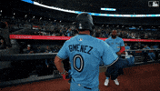 Blue Jays Baseball GIF by Toronto Blue Jays