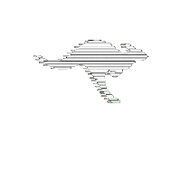 kangaroos-originals sneaker kangaroo kangaroos kangaroossneakers Sticker