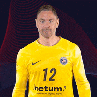 Andreas Palicka Sport GIF by Paris Saint-Germain Handball
