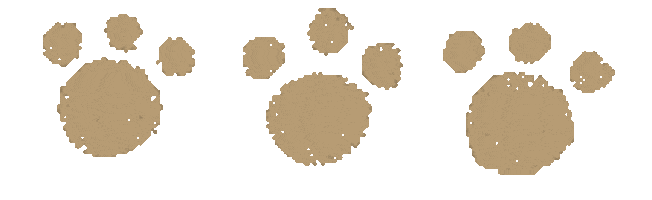 貓 Sticker by bobocatKF