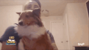 chris gethard GIF by truTV’s The Chris Gethard Show