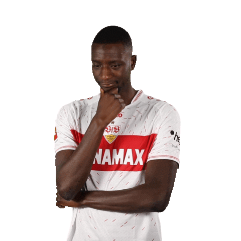 Serhou Guirassy Football Sticker by VfB Stuttgart