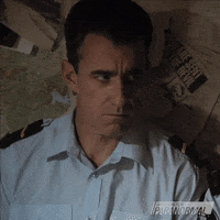 Eyebrow Raise Reaction GIF by Wellington Paranormal