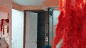 bellas de noche mexico GIF
