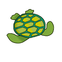 Abc Turtle Sticker by La Droguerie