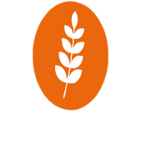 Sre Sticker by Agência Posittiva