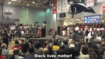 hillary clinton news GIF