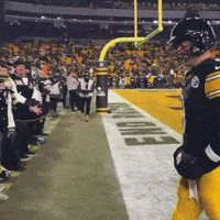 Pittsburgh Steelers GIF by Respective