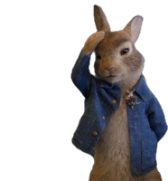 Hair Smile Sticker by Peter Rabbit Movie