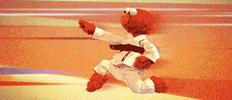 Sesame Street Karate GIF by Muppet Wiki