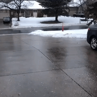Slip 'N Salt: Man Slides Down Icy Minnesota Driveway