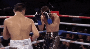 toprank fight boxing fighting espn GIF