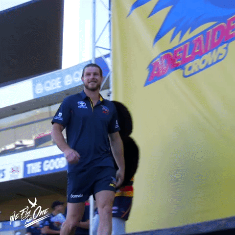 bryce gibbs #6 GIF by Adelaide Crows