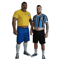 Futebol Brazil Sticker by Database數據