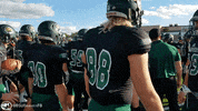 BSUBeavers bemidji state bsubeavers bsubeaversfootball beaver territory GIF