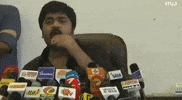 Interview Cow GIF