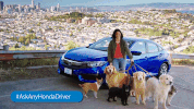 GIF by NorCal Honda Dealers