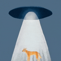 Mans Best Friend Dog GIF by Barbara Pozzi