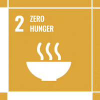 Act4Sdgs GIF by MY World Mexico